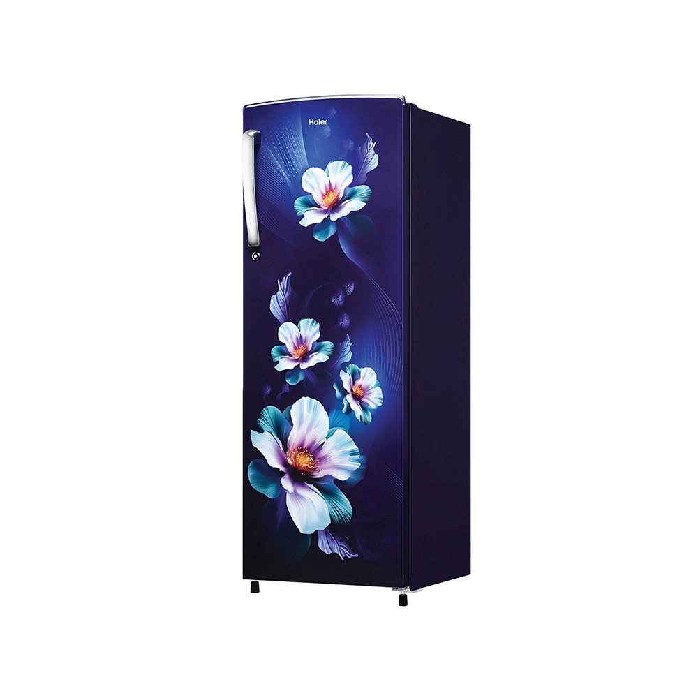 Haier 235L 2 Star Direct Cool Refrigerator - HRD-2562CMK-N